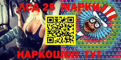 СК Новозыбков