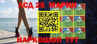 СК Новозыбков