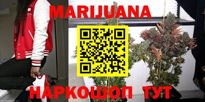 СК Новозыбков